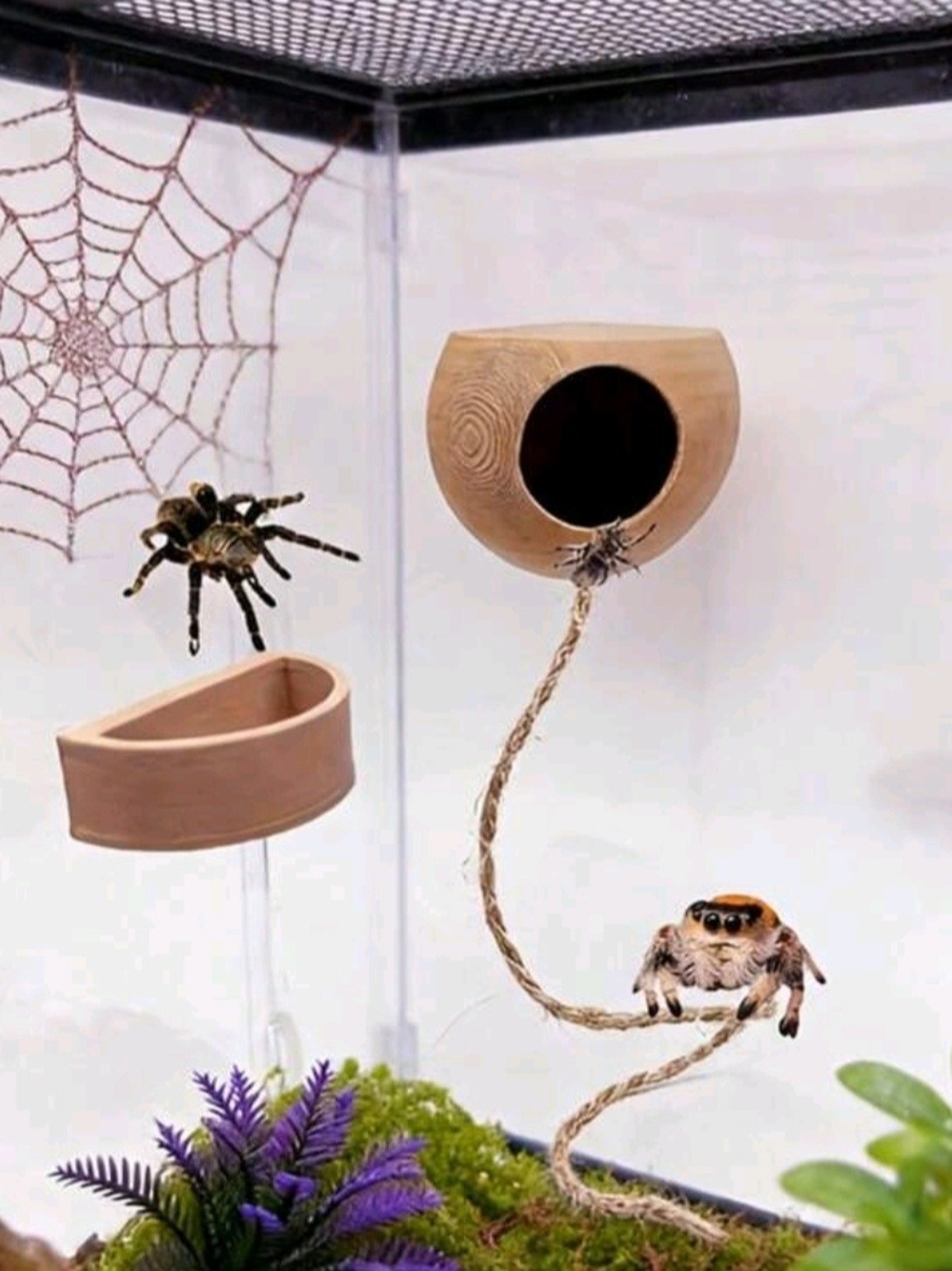 Natural Wood Spider Hide with Rope Perch And Food Bowl - Tan